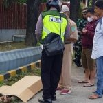 Kakek di Pasuruan Ditemukan Tewas di Pinggir Jalan, Diduga Korban Tabrak Lari