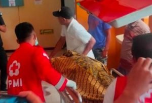 Terungkap, Anak Bacok Ayah Sendiri Dengan Celurit Ternyata Alami Depresi