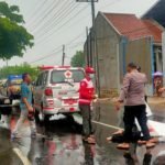 Tragis, Guru Muda Asal Jatirejo Menghembuskan Nafas Terakhir Usai Ditabrak Pikap