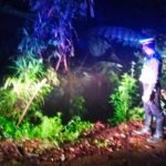 Mobil Terjatuh, Jurang, Bondowoso