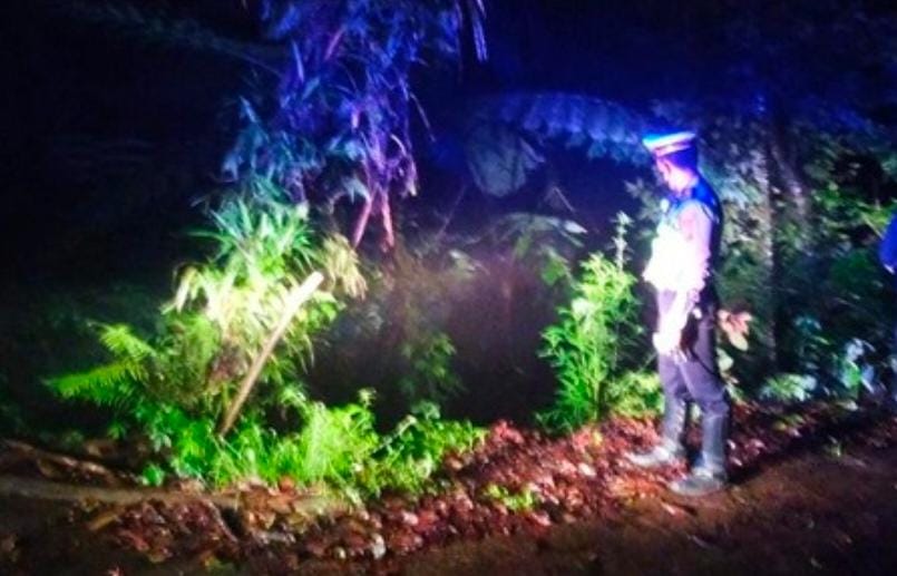 Mobil Terjatuh, Jurang, Bondowoso