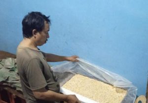 Harga Kedelai Naik, Pengrajin Tempe di Surabaya Mogok Produksi