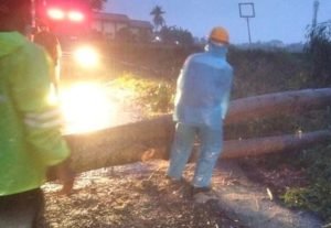 Puluhan Pohon Tumbang Timpa Rumah Dan Putus Akses Jalan di Blitar