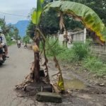 pisang, jalan rusak
