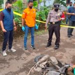 preman, babak belur