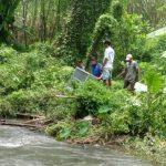 Buaya Muara di Sungai Janti Kediri Bikin Geger Warga