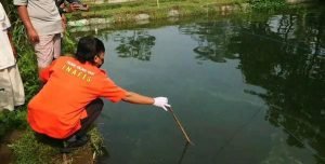 Ibu-ibu Asal Tulungagung Ditemukan Tewas Mengambang di Kolam Ikan Tetangganya