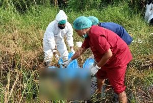 Ngeri, Mayat Dengan Kepala Terpisah Ditemukan di Area Sawah Sidoarjo
