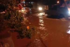 Banjir Luapan Waduk Pandan Rendam Rumah dan Puluhan Hektare Sawah