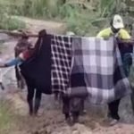 Tandu Orang Sakit Pakai Sarung di Jombang Mendadak Viral 