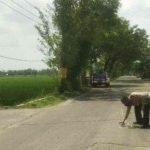 Konvoi kelulusan, sma,