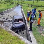Ketua DPD Nasdem, Dpd,