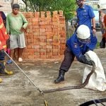 Ular Kobra di mojokerto