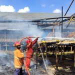 Kandang ayam terbakar