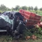 Mobil, Pengangkut ayam, ayam, Dawarblandong, Mojokerto