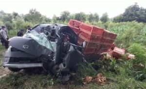 Mobil Pengangkut Ayam di Mojokerto Tabrak Pohon Pinggir Jalan, Pengemudi dan Kenek Terjepit