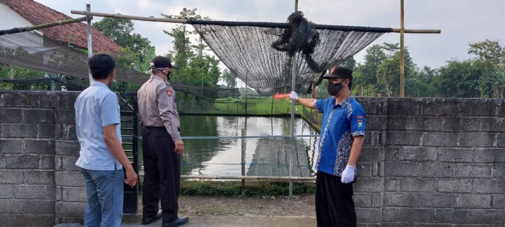 Seorang Kakek di Tulungagung Tewas Mengapung di Kolam Ikan Milik Menantunya