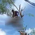 tewas, mayat, tersengat listri, Trenggalek