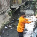 Penemuan mayat bayi