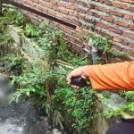 Pembuangan Bayi, Surabaya,