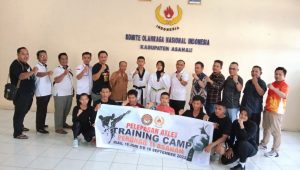 taekwondo, asahan