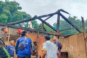 Lapuk Dimakan Usia, Rumah Warga Magetan Roboh Hingga Timpa Kandang Sapi