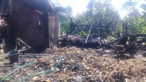 Rumah di Situbondo Ludes Terbakar, Tiga Ekor Kambing Ikut Terpanggang