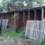Kambing, Kurban, Blitar,