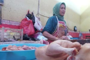 Daging ayam, lamongan,