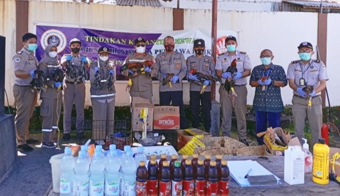 BKP Kelas II Ternate, Hewan Unggas, Daging Babi,