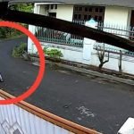 Jambret, Probolinggo