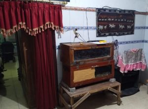 Nenek Bayi di Surabaya yang Tewas Membusuk Sempat Diancam Akan Dibunuh