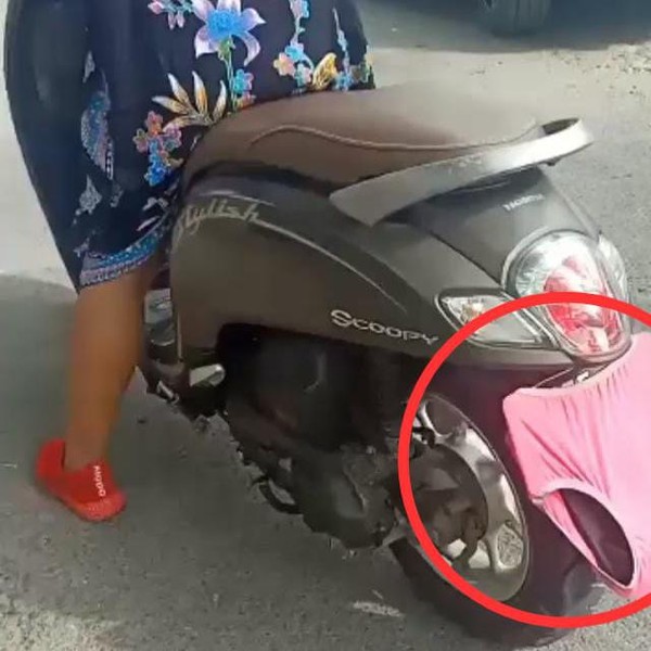 celana dalam, Plat Nomor, Lamongan
