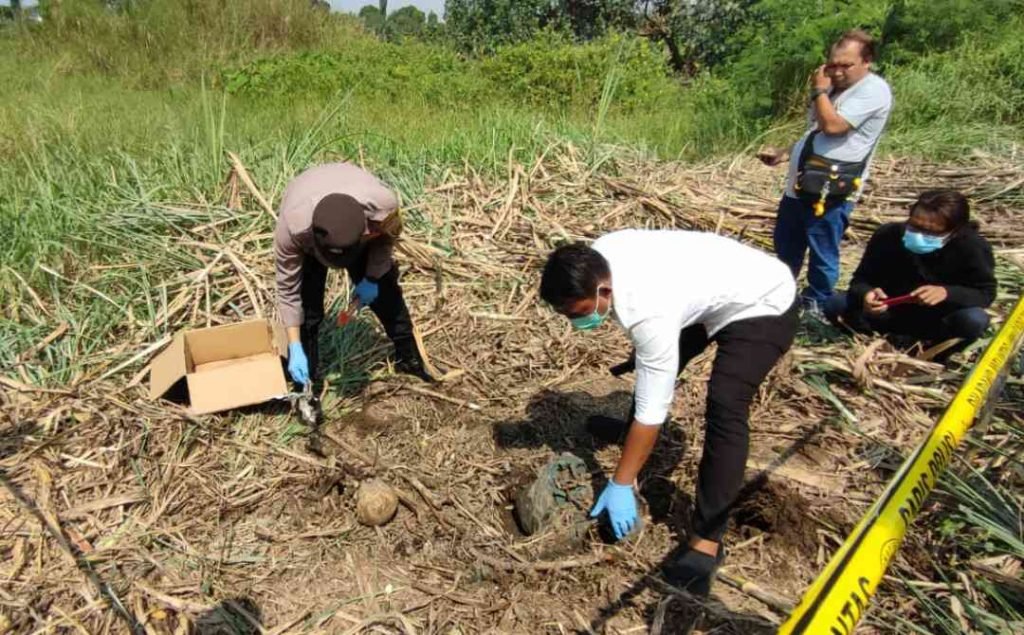 Penemuan Kerangka Manusia Berdaster Gegerkan Warga Mojokerto