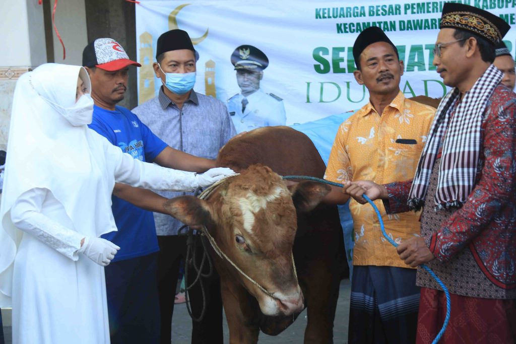 Sapi Qurban, Bagi-bagi, Mojokerto