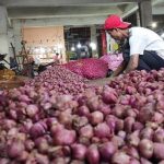 Bawang merah, Blitar,