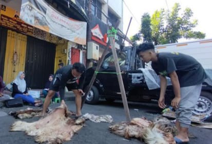 Pengepul Kulit Sapi, Kambing, Idul Adha,