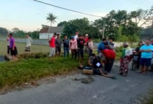 Dililit Ular, Warga Blitar Ditemukan Tewas di Jalan Area Persawahan