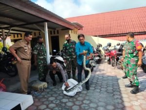Polisi Temukan Bekas Gigitan Ular Pada Tubuh Ponirin si Pawang Ular