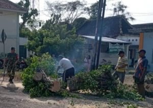 Tertimpa Pohon Tumbang, Pemotor di Magetan Tak Sadarkan Diri