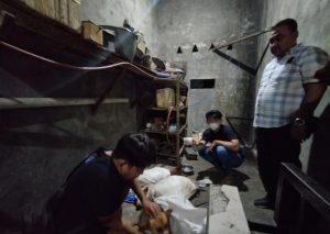 Pencinta Satwa Gerebek Rumah Jagal Anjing di Surabaya