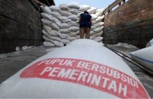 Begini Cara Tebus Pupuk Subsidi Hanya ‘Modal’ KTP