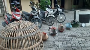 Digerebek Polisi, Para Pelaku Judi Sabung Ayam di Jetis, Mojokerto Lari Kocar-kacir
