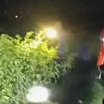 Petugas damkar, lokasi kejadian, petani dililit ular