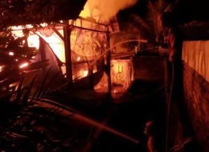 Kebakaran Kandang Ayam di Blitar, Ribuan Ayam Hangus Terpanggang