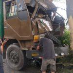 Truk karton, Tabrak pohon,