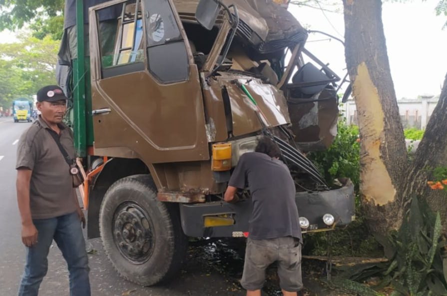 Truk karton, Tabrak pohon,