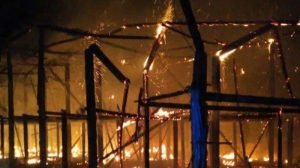 Kandang Ayam Siap Pakai di Tulungagung  Diamuk si Jago Merah