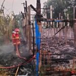 Kebakaran, kandang ayam