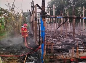 Kebakaran Kandang Ayam di Tulungagung Dipicu Gegara Aktivitas Bakar-bakar Sampah